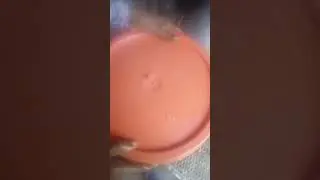 The Noni juice production process