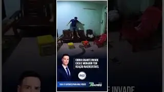 Susto: cobra invade casa e morador tem rea&ccedil;&atilde;o inacredit&aacute;vel #news #bolsonaro