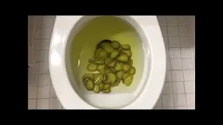 Will it Flush? | Old Pickles