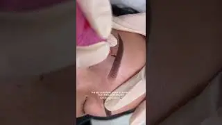 🎯 0.35 1RL Needle Secrets: How to Achieve Soft Pixel Brows (Speed 4 Guide) #ombrebrows #pmutraining