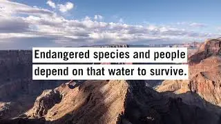 Saving the Grand Canyon