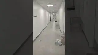 Итак, вы хотите увидеть изнутри психушку