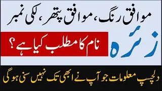 Zaira Name Meaning | Zaira Lucky Day | Zaira Lucky Stone | Zaira Numerology