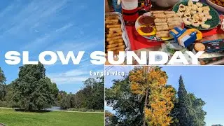 Slow Sunday 🌿 | হাঁটতে হাঁটতে Melbourne Life & Christmas Party Vibes