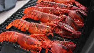 Lobster Magnet and Friends Live Stream