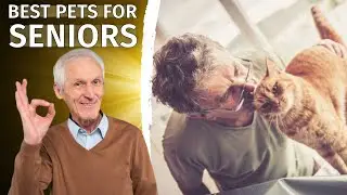 Best Pets for Seniors &ndash; A Caring Guide to Lifelong Companionship
