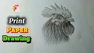 how to draw easy cock 🐔 || tutorial video || Ikram Art Tricks