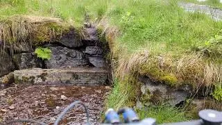Field Recording || Petite Alpine Brook