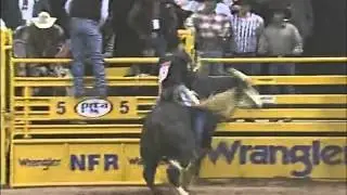 #825 Kish's Ugly 2002 NFR