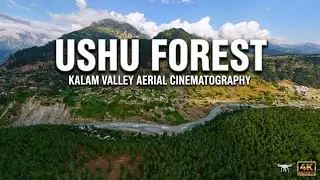 USHU FOREST | The Most Beautiful Place in Pakistan🌲Kalam Valley 4K Aerial Cinematography