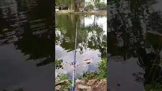 Spot Mancing JAZ ( Jogja Adventure Zone )#daido #shorts
