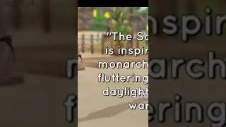 🐴[star stable] !SPOILER! - Chevaux Papillons et Papillons Magiqu... | #000candyneige000 sur #Twitch