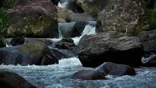 River Sound for Deep Sleep Flow White Noise with Gentle Stream Sound for Relaxation