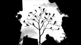 Rex Ilusivii - Ptice