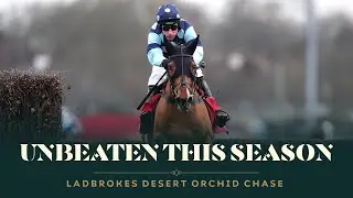 This is IMPRESSIVE - Ladbrokes Desert Orchid Chase