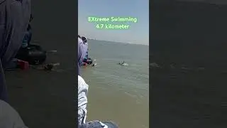 EXTREME SWIMMING 4.7 Km #trending #extremesports #swimming #eastjava #amazing