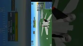 first time main game flight simulator