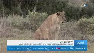 تقرير| نحو 20% من التنوع البيولوجي في العالم مهددة بالانقراض