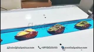Automatic Upfilm Servo Flowwrap Machine With Servo Belt Feeder Conveyor - Flexipack UAE