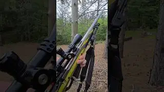 .458 win mag vs tree