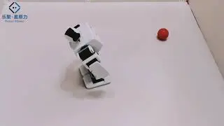 Leju aelos robot playing football