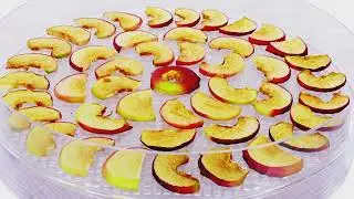 DIY FOOD PRESERVATION CANNING AND PICKLING TIPS
