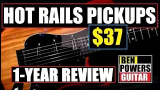 $37 Hot Rails Pickups Loaded Pickguard From Musiclily - 1 Year Review