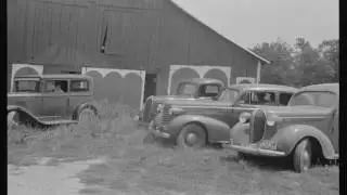 American Folk Music (Ohio): Mr. Frog