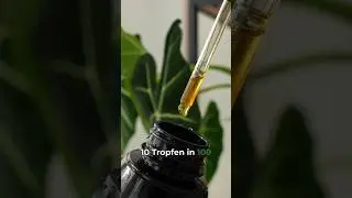 Neem&ouml;l: nat&uuml;rlicher Schutz vor Sch&auml;dlingen 🛡️🌿🐛