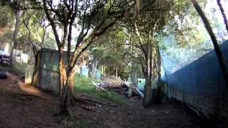 Batalha ZN.