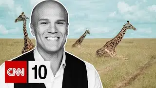 Is World's Tallest Animal In Danger? | November 22, 2024