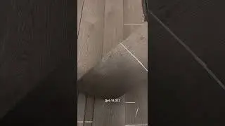 Волшебные новинки 😍⭐️
