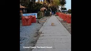 Coastal Palace The Beach Resort | Taknef Saint Martin Hotel & resort online booking