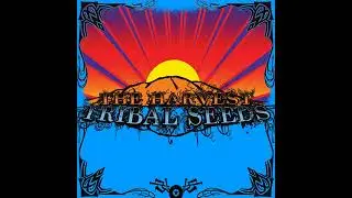 Tribal Seeds - 144,000