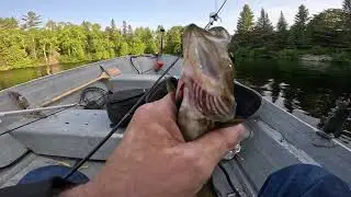 Opener at the Hogsback (Biscotasi Lake) 20230616