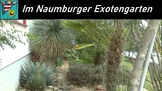 Ein Besuch im Naumburger Exotengarten