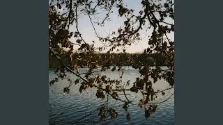 The Pond