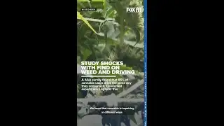 Marijuana study concerns Wisconsin authorities