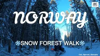 Deep Relaxation Video | Peaceful Forest Walk in Norway with Calm Music