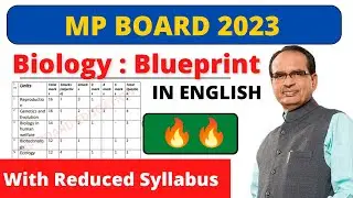 MP Board 12th New Blueprint 2023 for English Medium || MP Board New Blueprint Download pdf