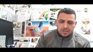 مكمل غدائي طبيعي مهم للحمام الزاجل فترة السباقات وبالخصوص السرعة والمتوسط