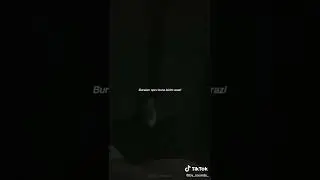 Paster - qayıt gəl