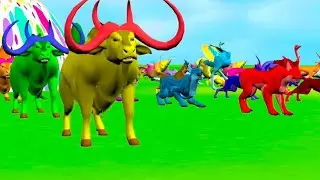 New animals painting colours, Crab, Goat, Comado, Lynx, Hound, Ostrich, Skunk, Camel, Buffalo,Raptor