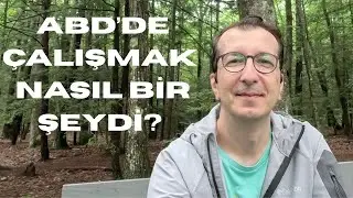 ABD&rsquo;de Matematik Eğitmeni Olarak &Ccedil;alışmak: Deneyimlerim ve G&ouml;zlemlerim