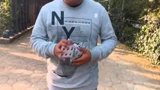 CCHC II : Striker