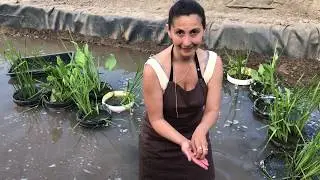 Leech Farm Lake Setup & Habitat: Tsetsi & Leech Boss Leech.com. Как се структурира ферма за пиявици?