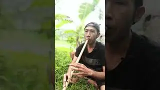 While blowing the flute, I was almost bitten by a snake #flute #flutemusic #voiceeffects