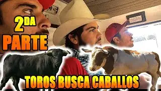 LOS MEJORES TOROS PARA MI GANADERIA PARTE 2 🐂🐂 || CHITIN VENEGAS
