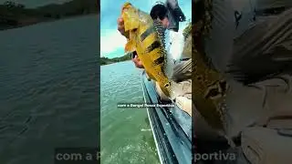 Destino de ver&atilde;o pertinho de SJC que voc&ecirc; precisa conhecer