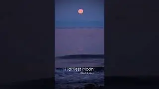 This mornings Full Harvest Moon!!